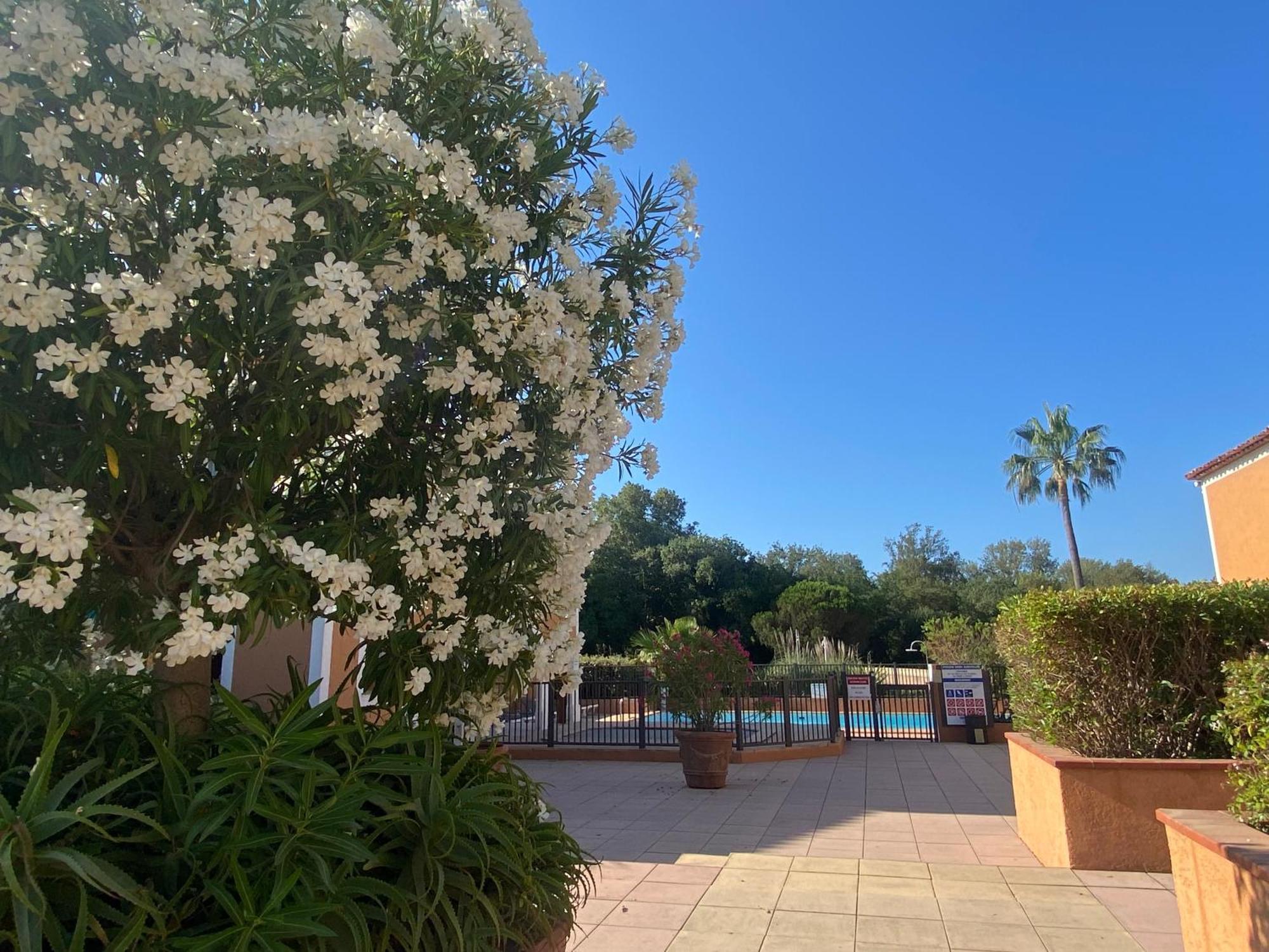 2 Bedrooms, 15 Min Walk To Beach, Ac, Pool & Fiber Internet In A Quiet, Private Gated Domain 5Kms To St Tropez 코골렝 외부 사진