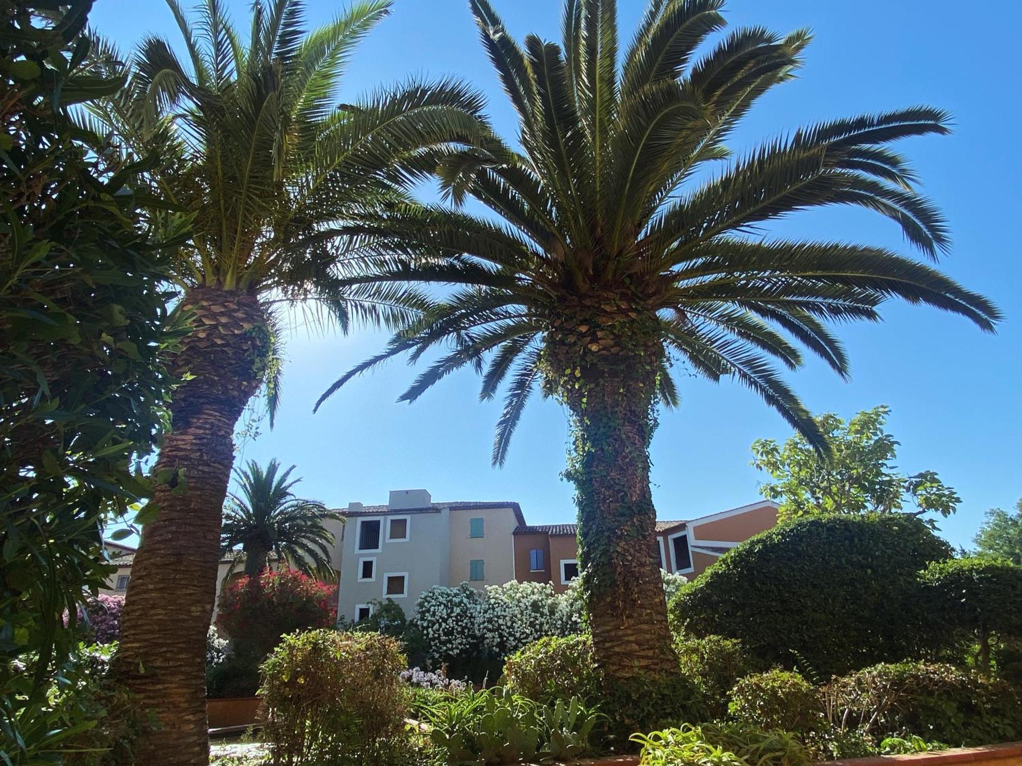 2 Bedrooms, 15 Min Walk To Beach, Ac, Pool & Fiber Internet In A Quiet, Private Gated Domain 5Kms To St Tropez 코골렝 외부 사진